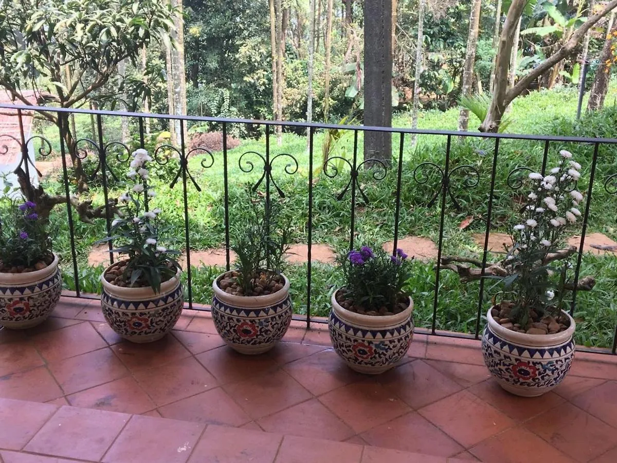 Resort Tea Terrace Vythiri Hotel Wayanad