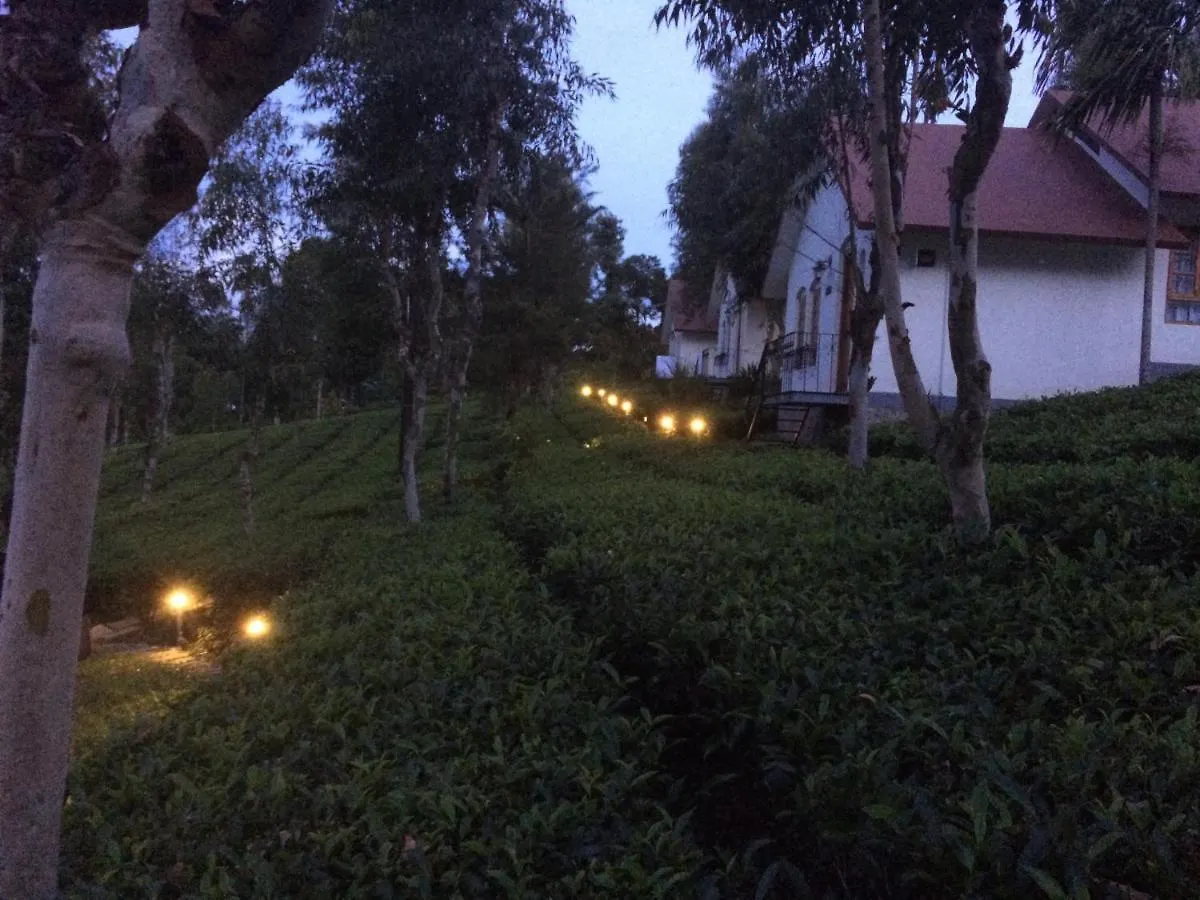 Tea Terrace Vythiri Hotel Wayanad 4*,