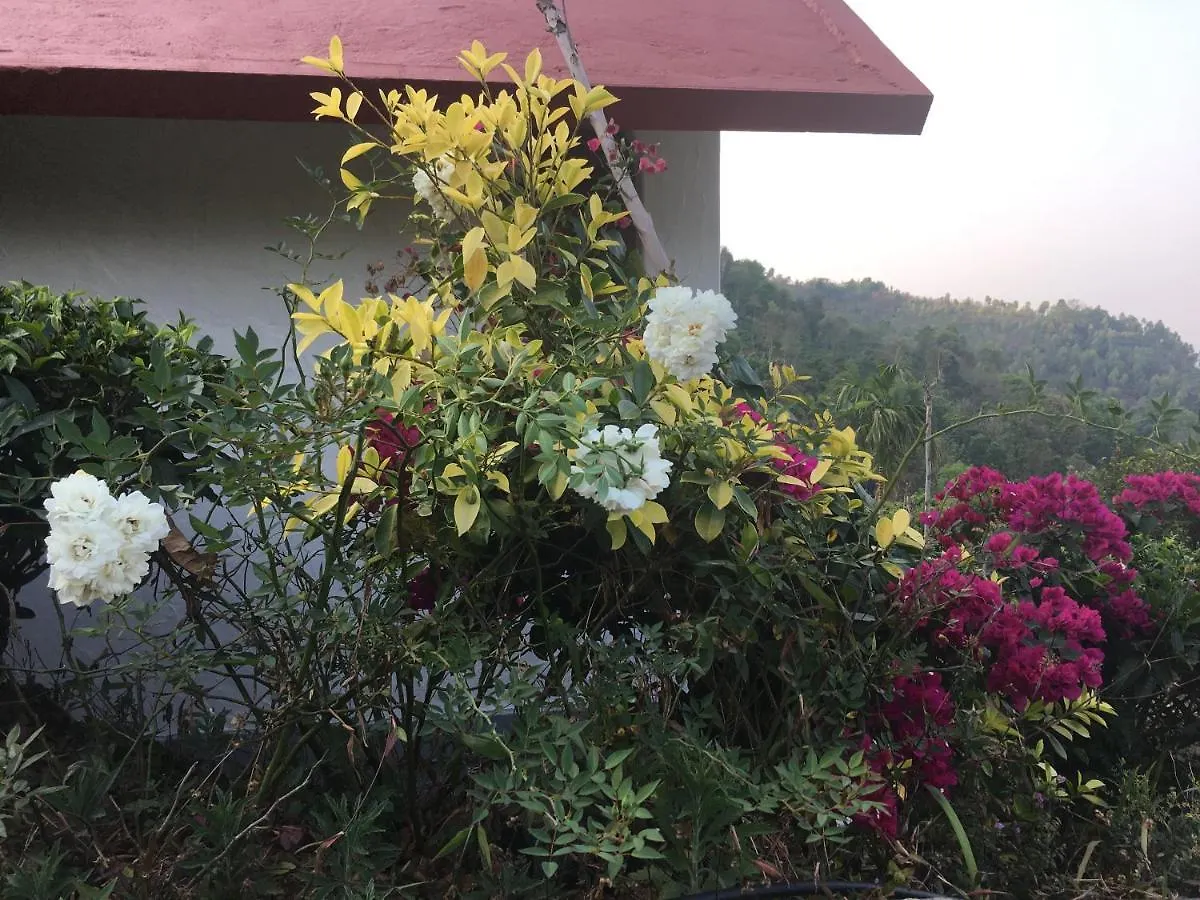 Tea Terrace Vythiri Hotel Wayanad Resort
