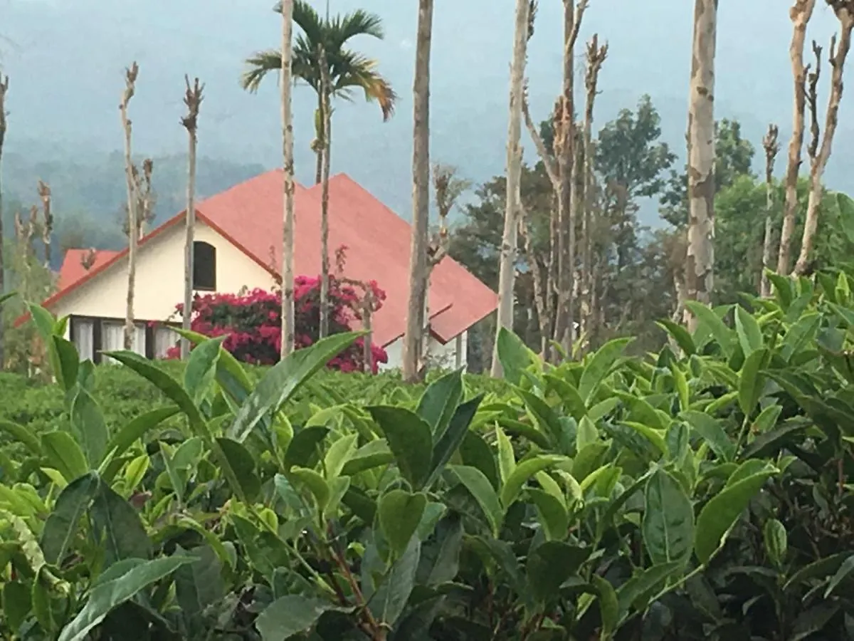 Tea Terrace Vythiri Hotel Wayanad Resort