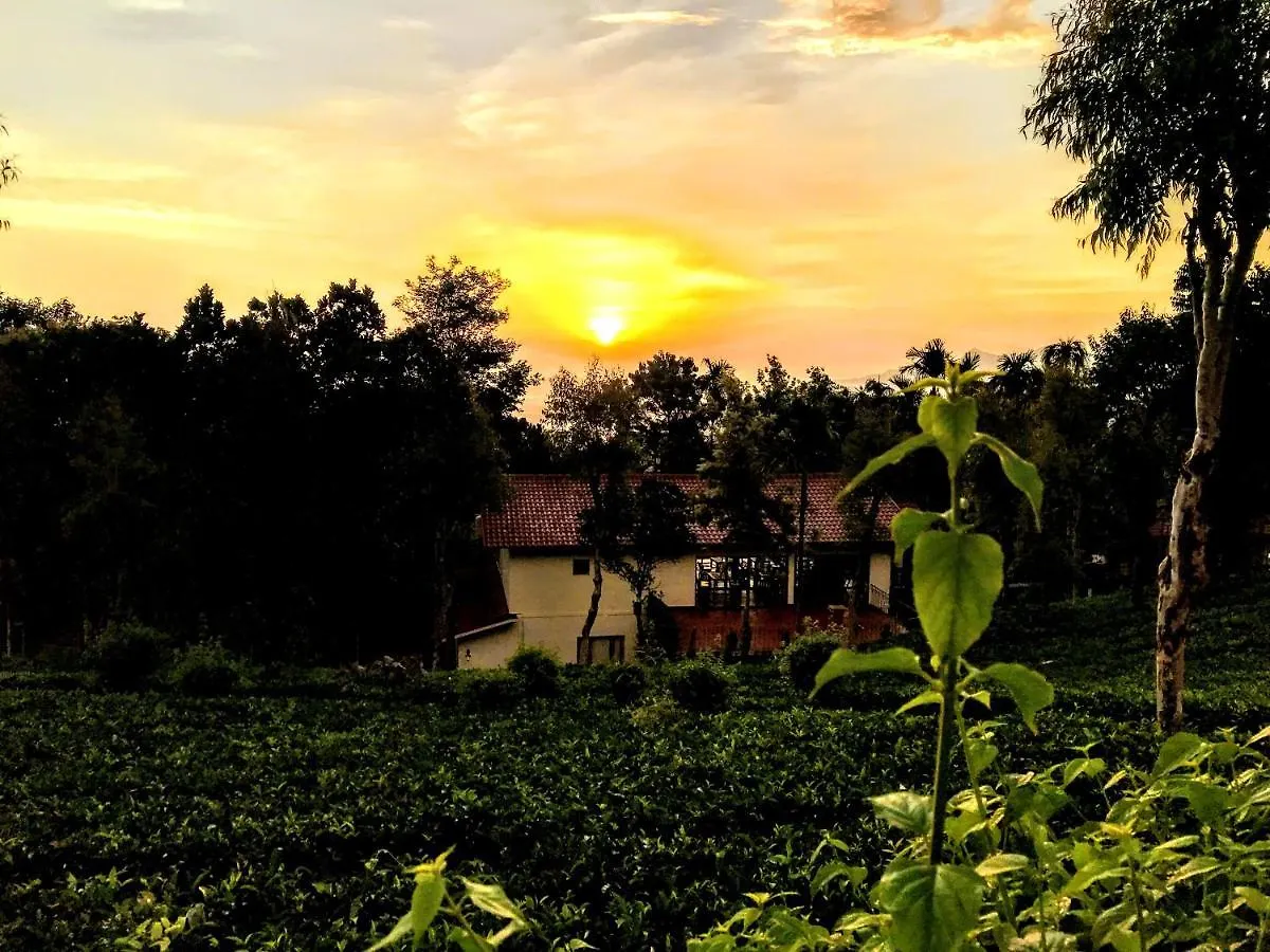 Tea Terrace Vythiri Hotel Wayanad India