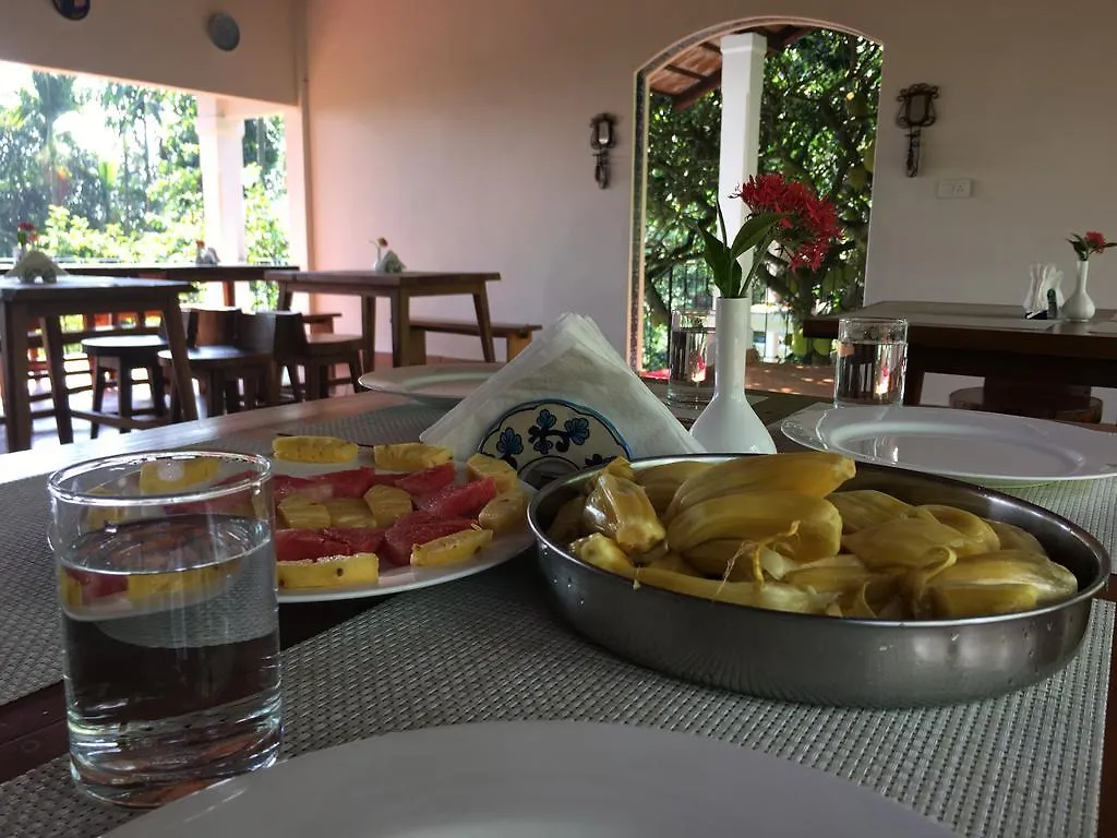 Tea Terrace Vythiri Hotel Wayanad India