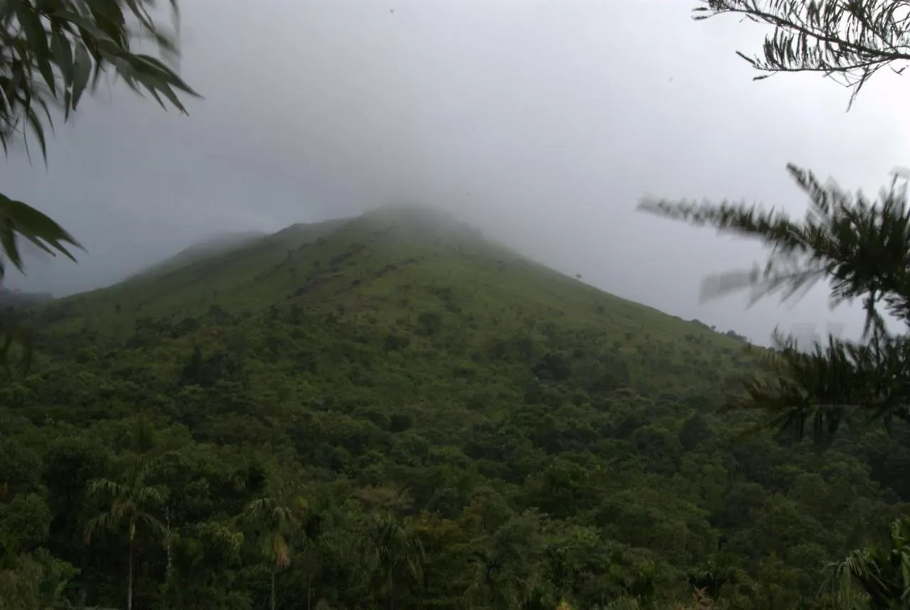 **** Resort Tea Terrace Vythiri Hotel Wayanad India