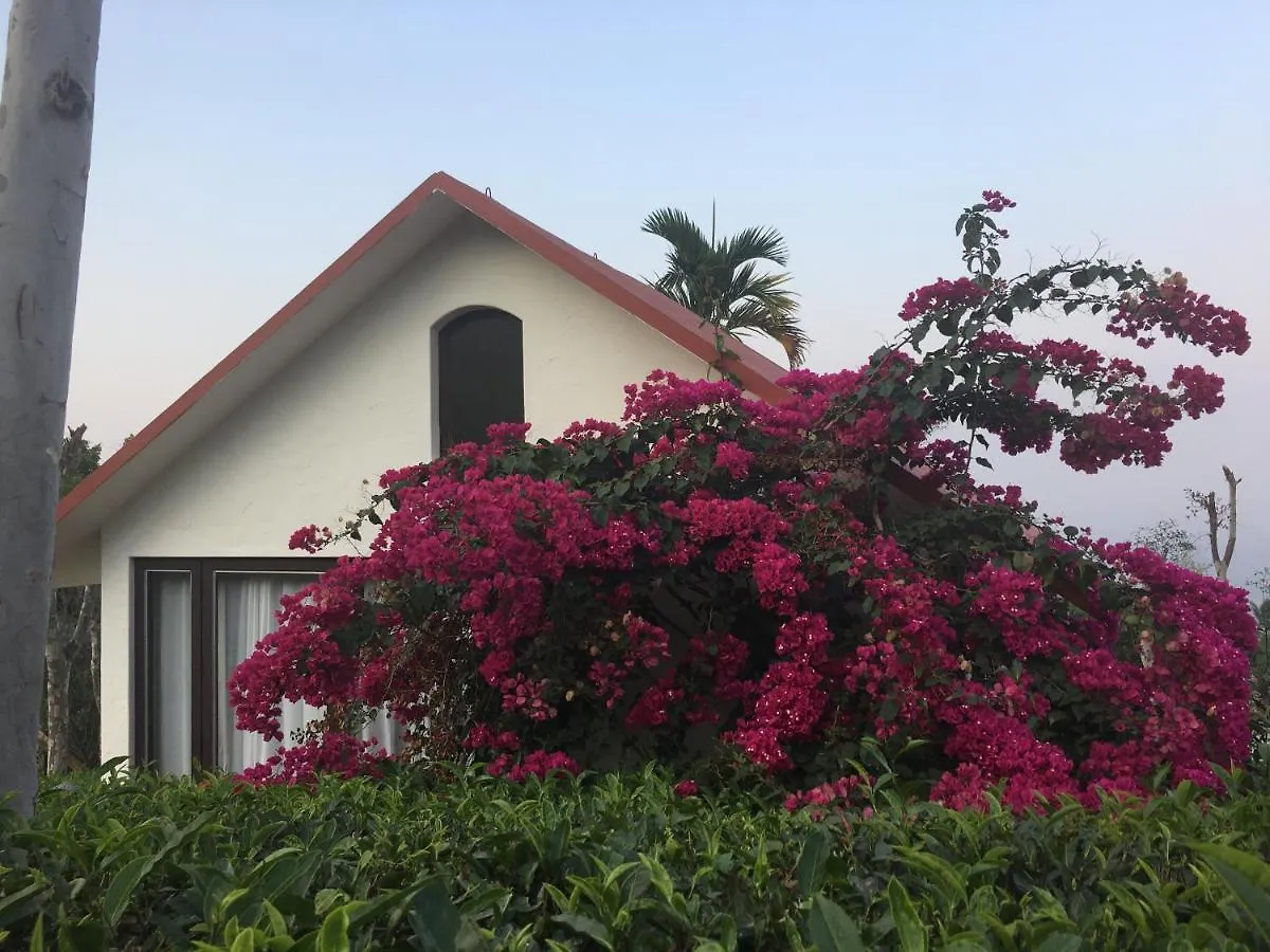 Tea Terrace Vythiri Hotel Wayanad
