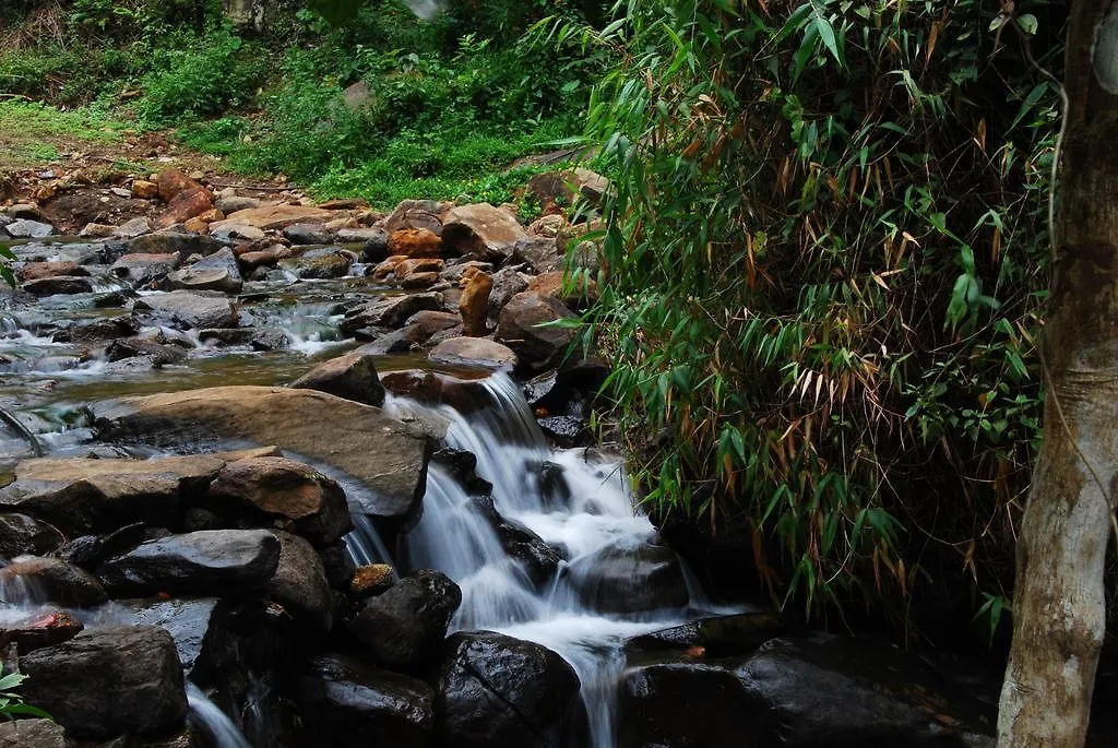 Resort Tea Terrace Vythiri Hotel Wayanad